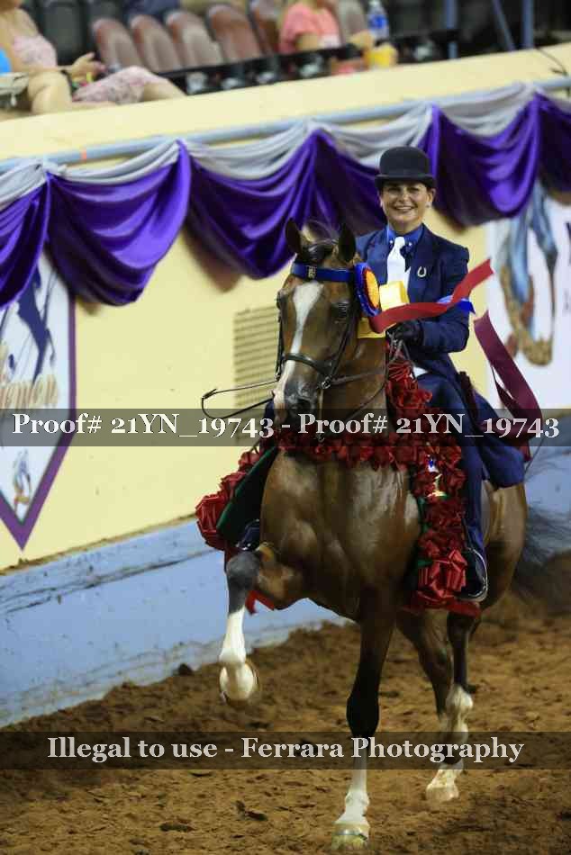 Proof 21YN_19743