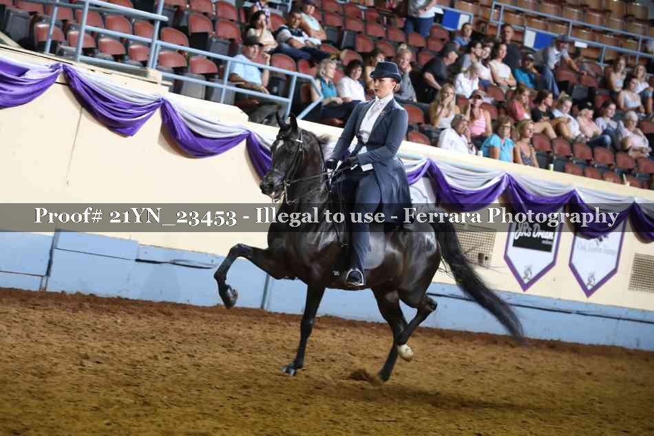 Proof 21YN_23453