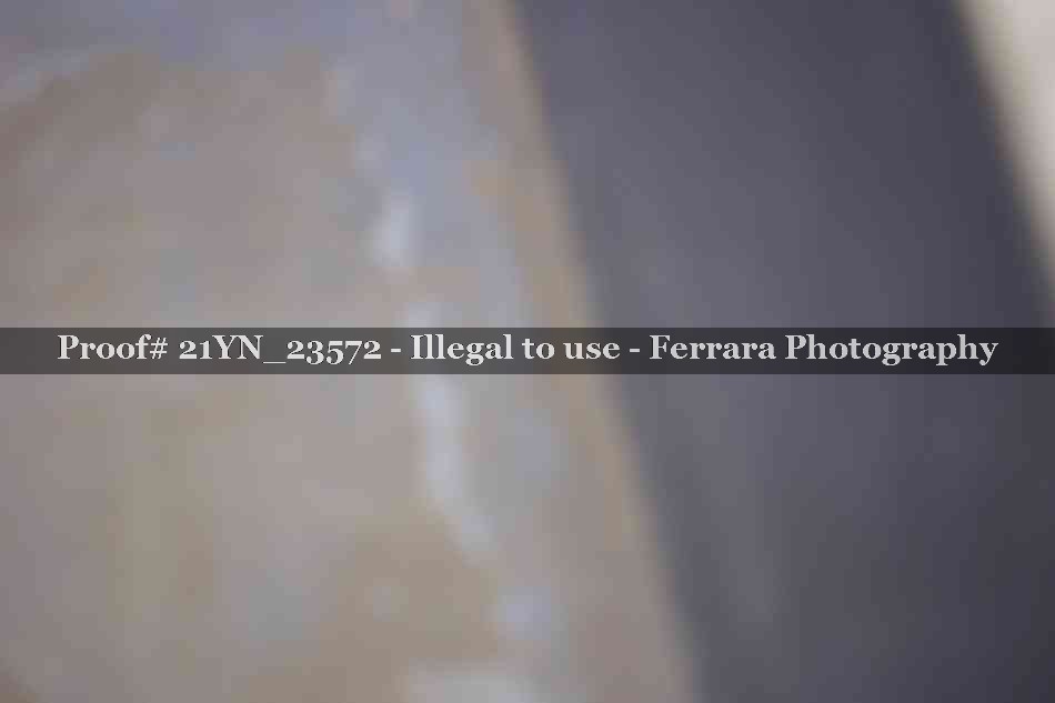 Proof 21YN_23572