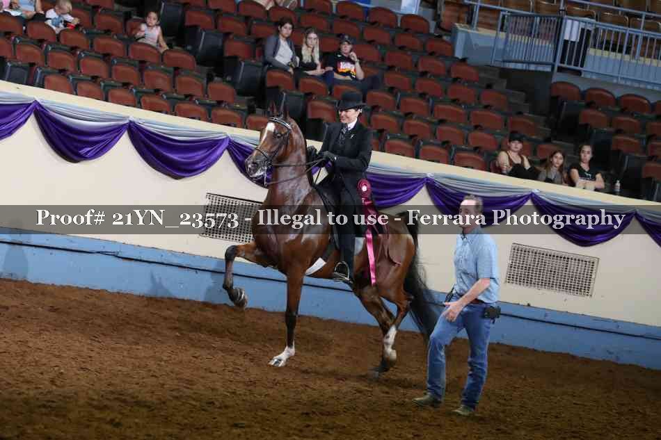 Proof 21YN_23573