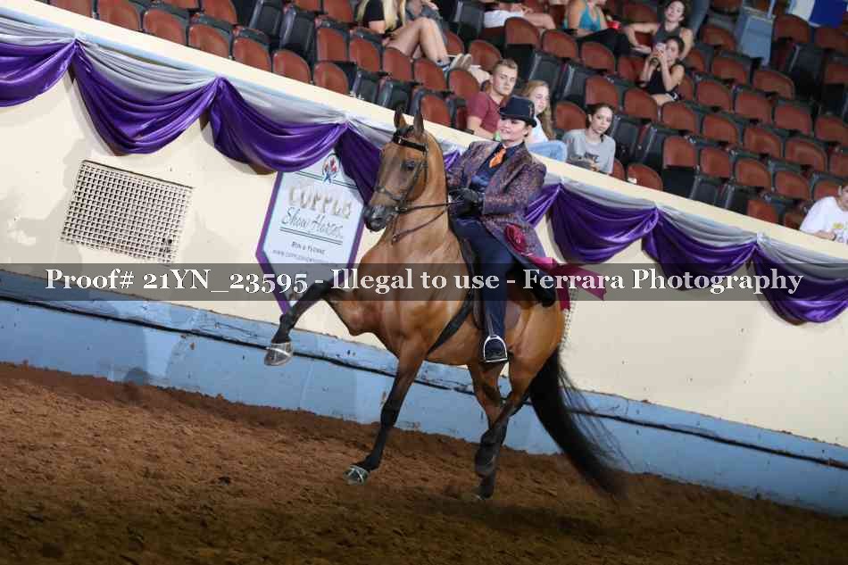 Proof 21YN_23595