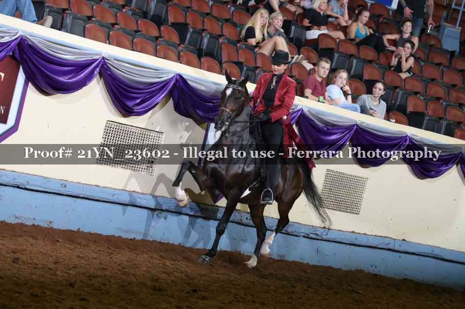Proof 21YN_23602