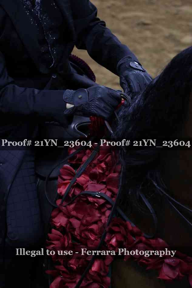 Proof 21YN_23604