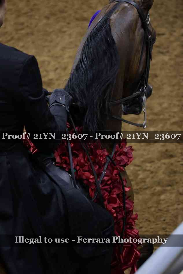 Proof 21YN_23607