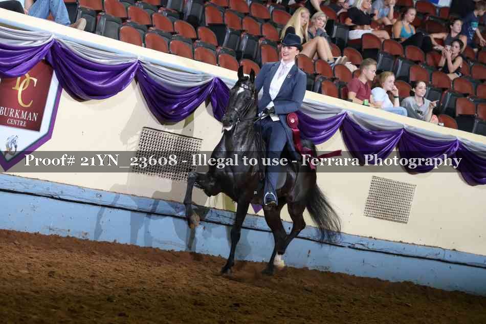 Proof 21YN_23608