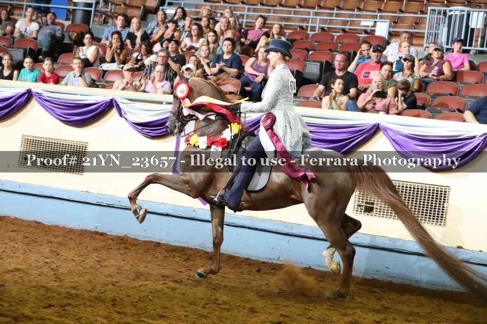 Proof 21YN_23657