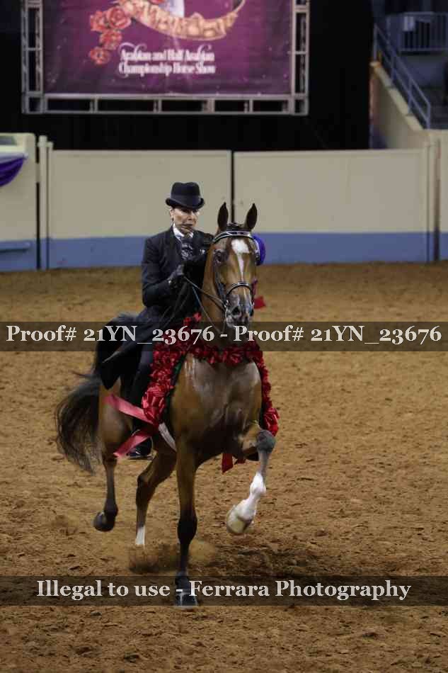 Proof 21YN_23676
