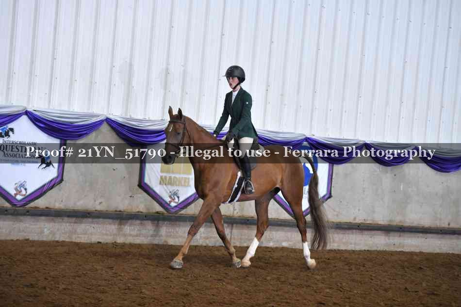 Proof 21YN_51790