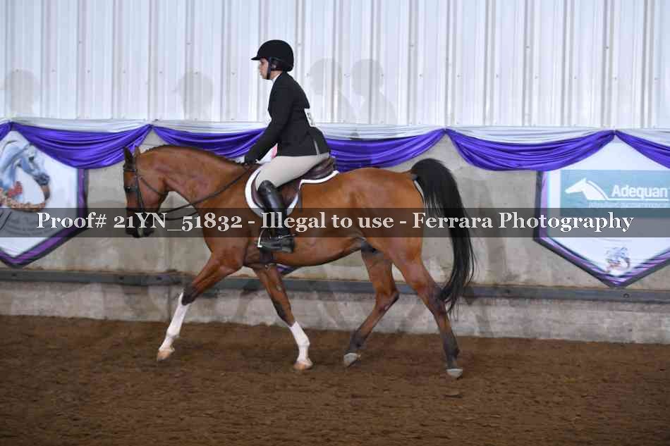 Proof 21YN_51832