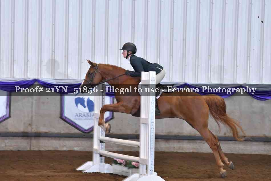 Proof 21YN_51856