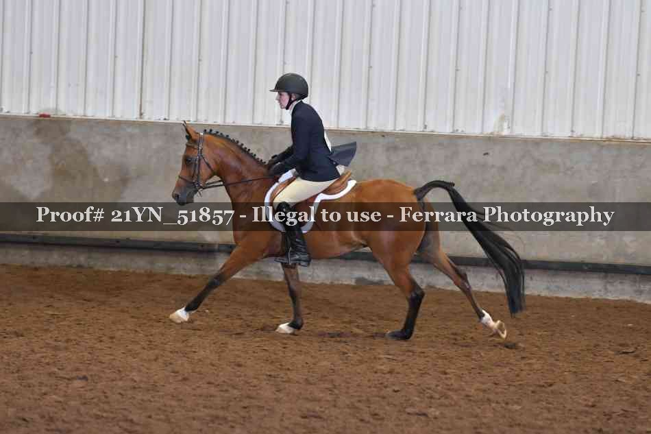 Proof 21YN_51857
