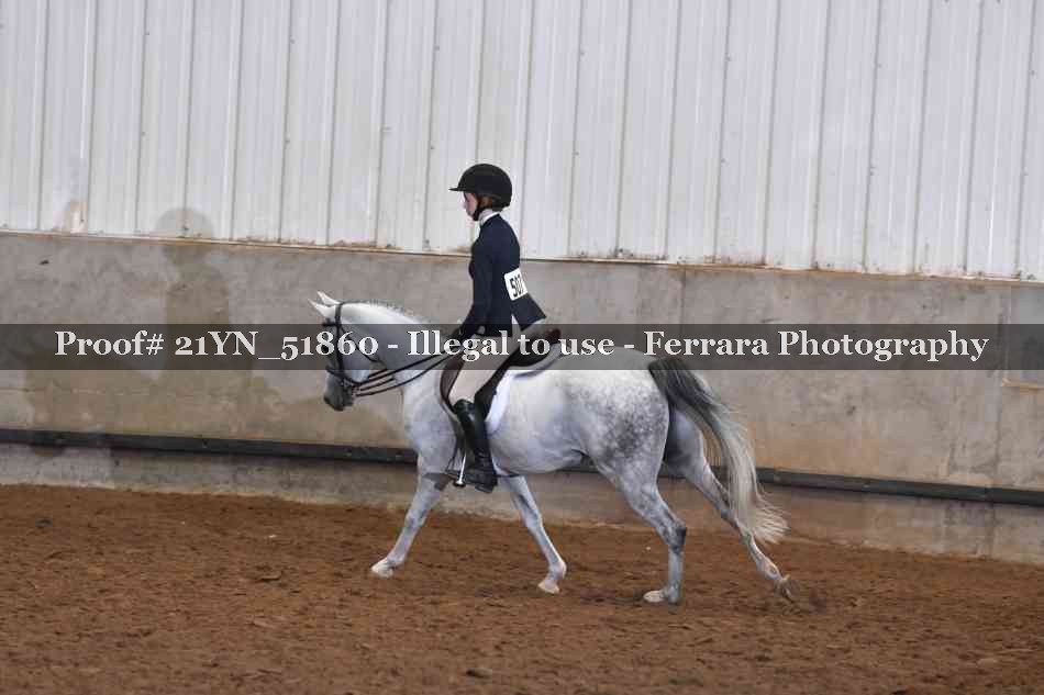 Proof 21YN_51860