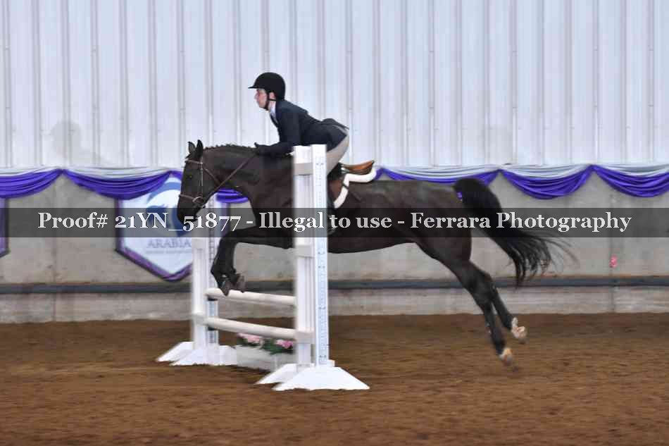 Proof 21YN_51877