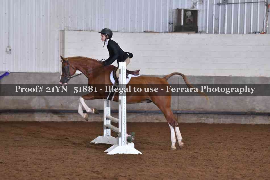 Proof 21YN_51881