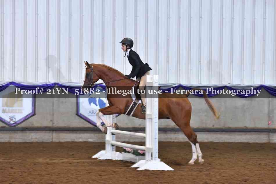 Proof 21YN_51882