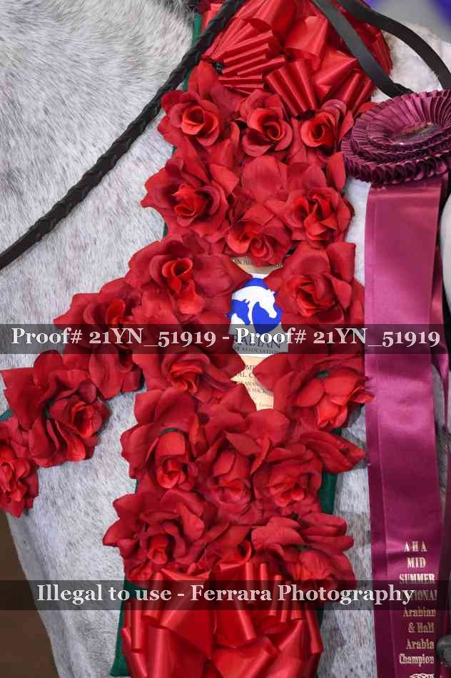 Proof 21YN_51919