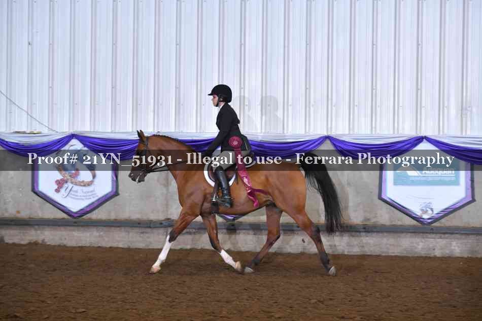 Proof 21YN_51931