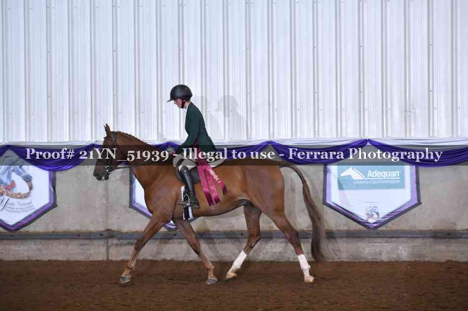 Proof 21YN_51939