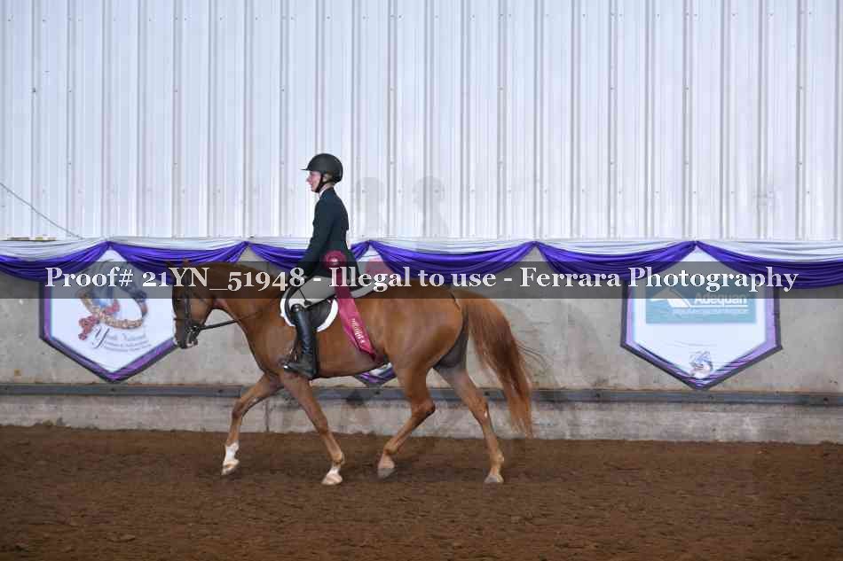 Proof 21YN_51948