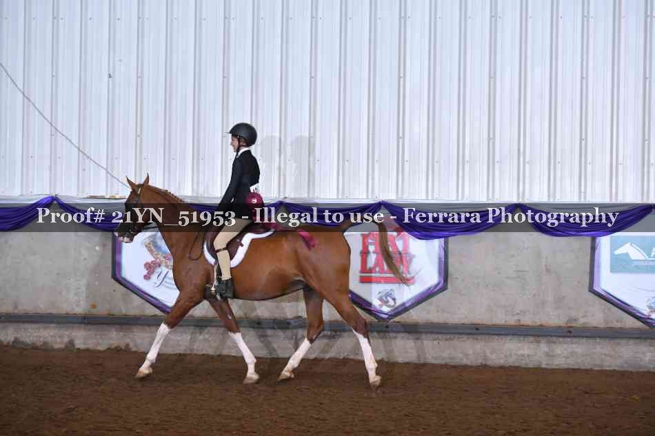Proof 21YN_51953