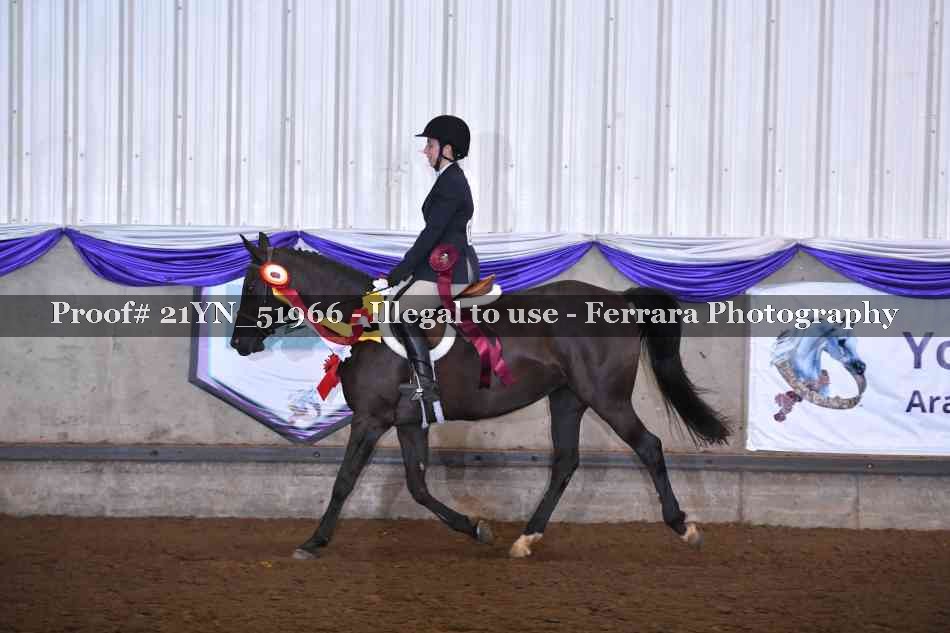 Proof 21YN_51966