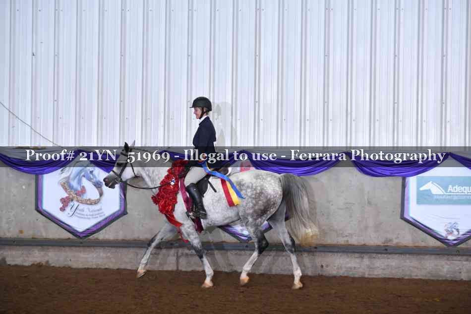 Proof 21YN_51969