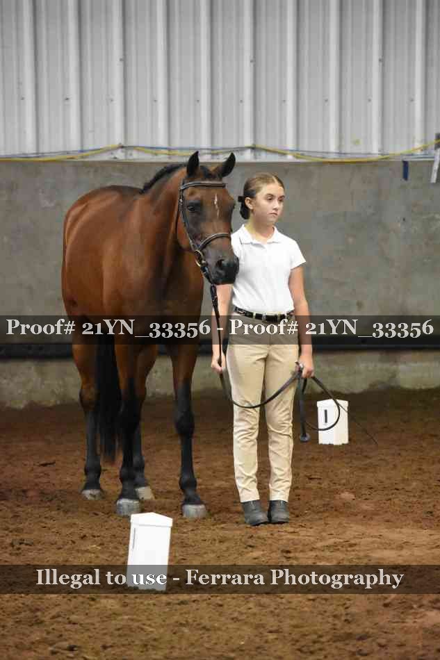 Proof 21YN_33356
