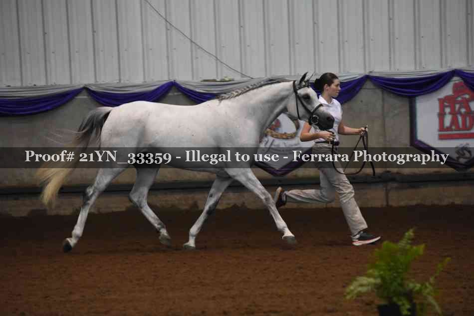 Proof 21YN_33359