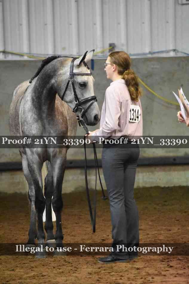 Proof 21YN_33390