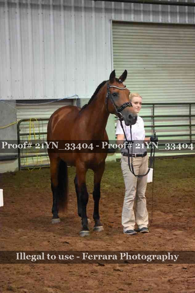 Proof 21YN_33404