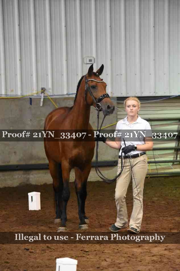 Proof 21YN_33407