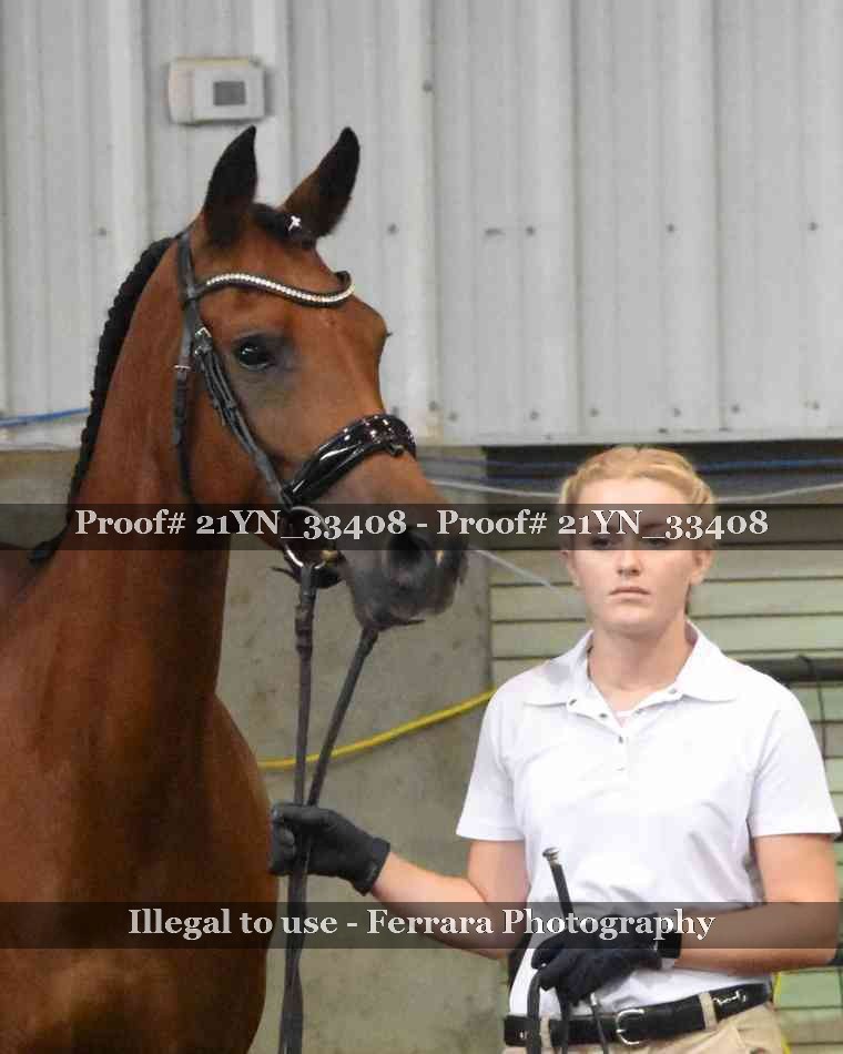 Proof 21YN_33408