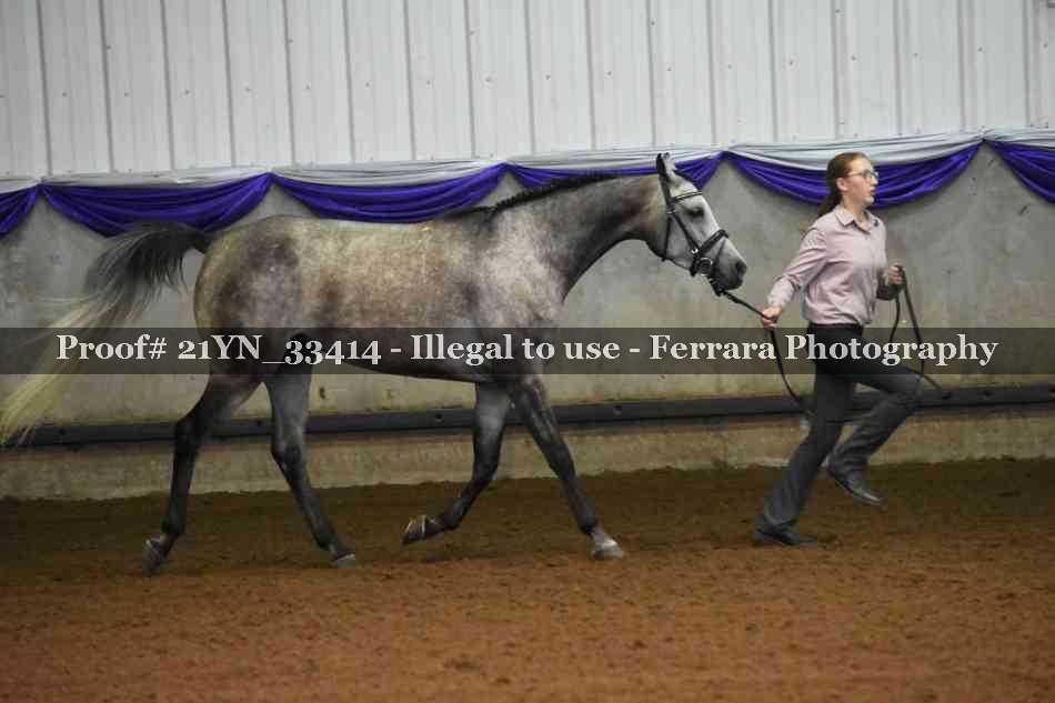 Proof 21YN_33414