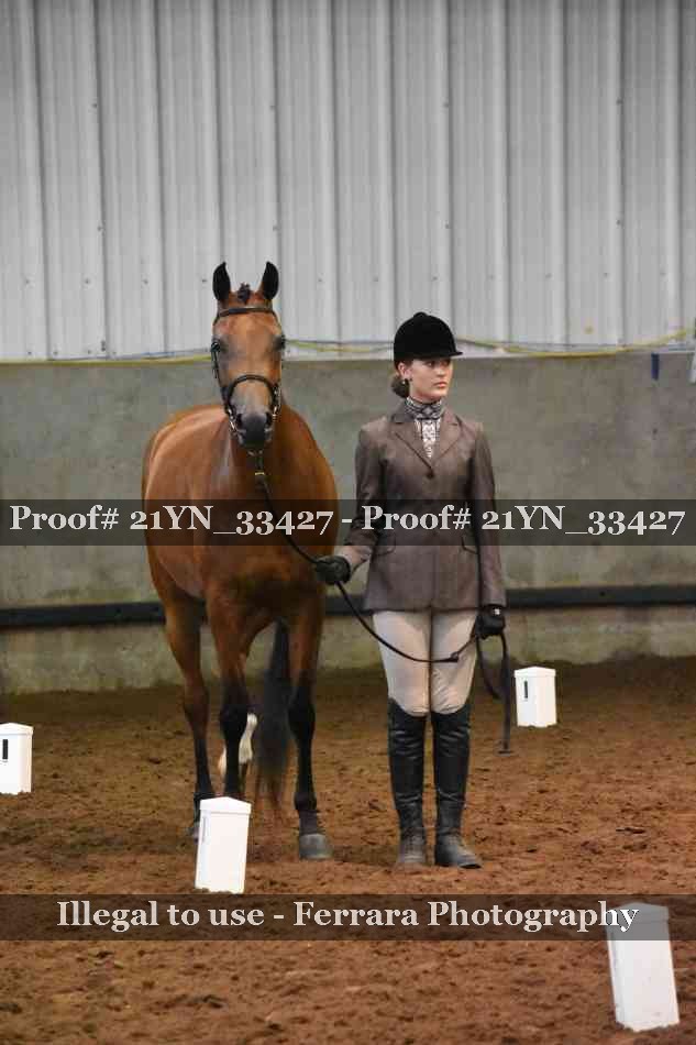 Proof 21YN_33427