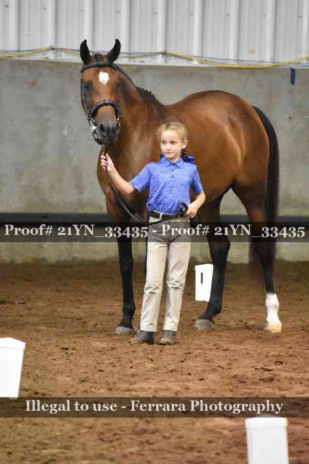 Proof 21YN_33435