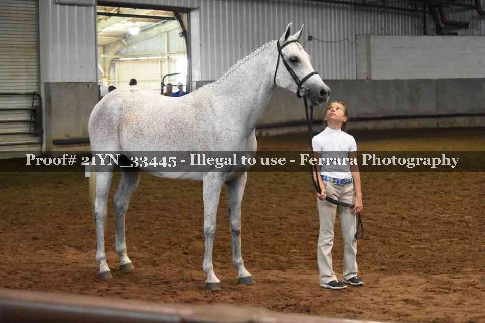 Proof 21YN_33445