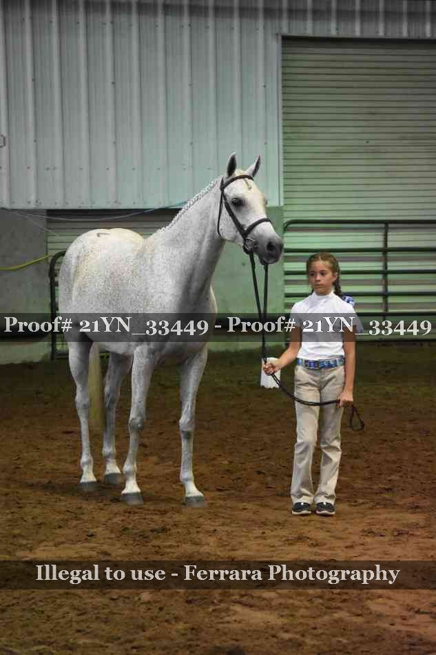 Proof 21YN_33449