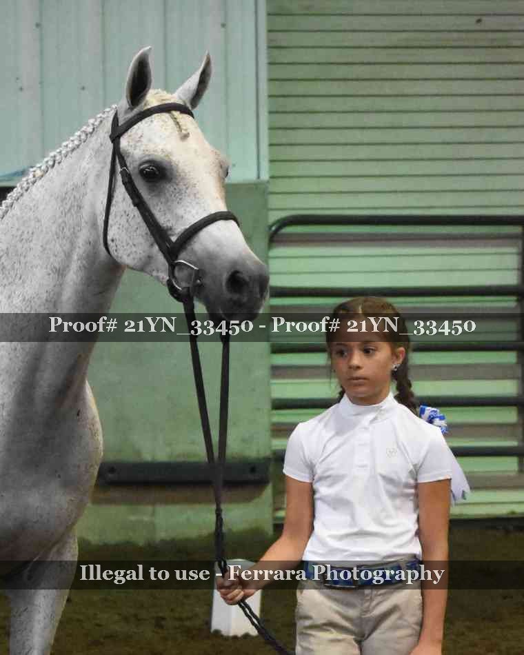Proof 21YN_33450