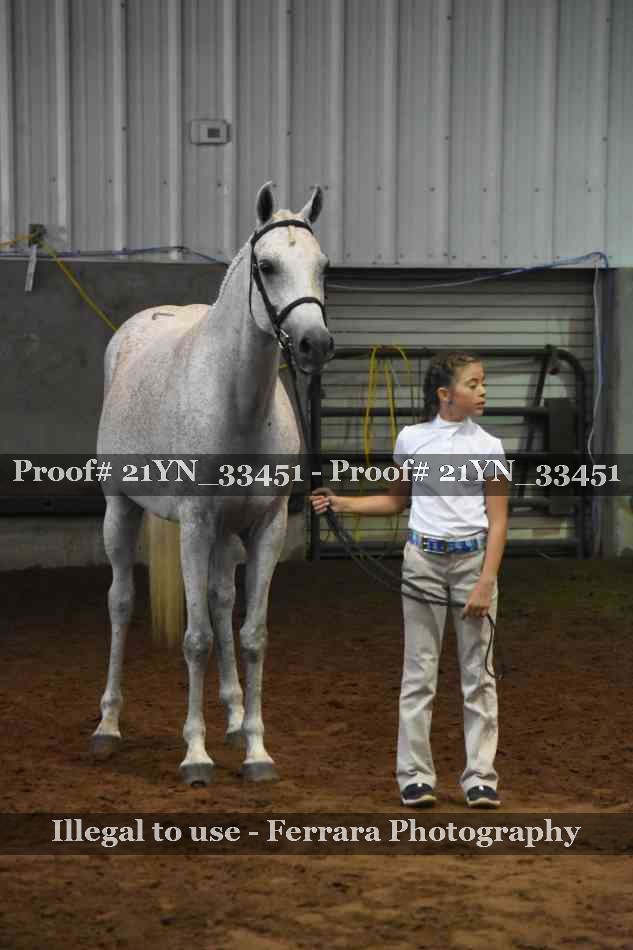 Proof 21YN_33451