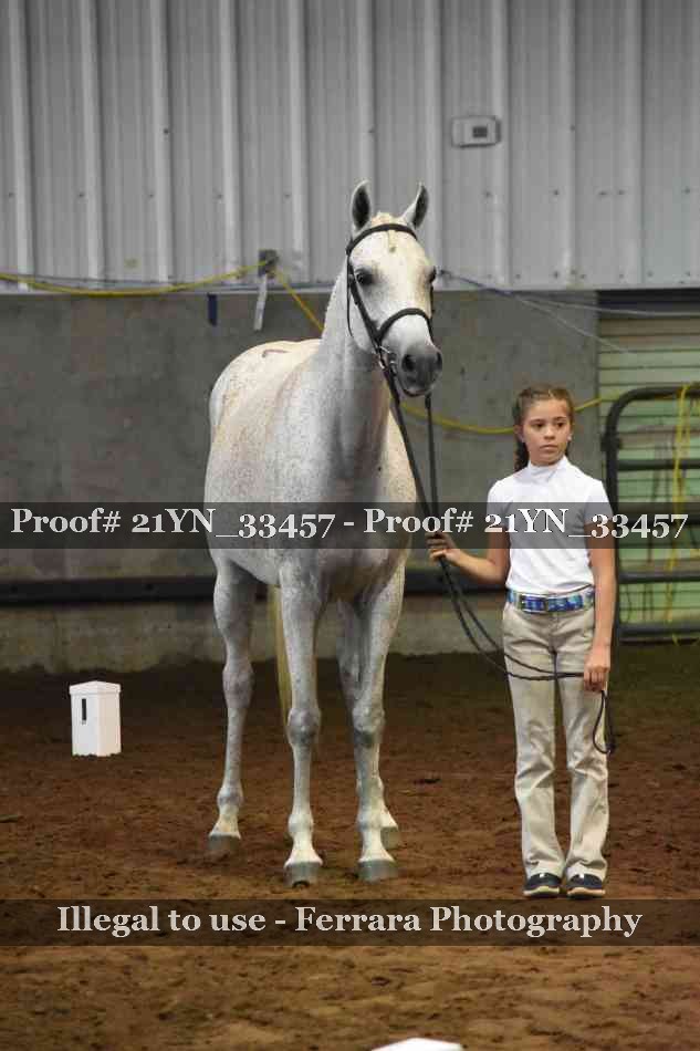 Proof 21YN_33457