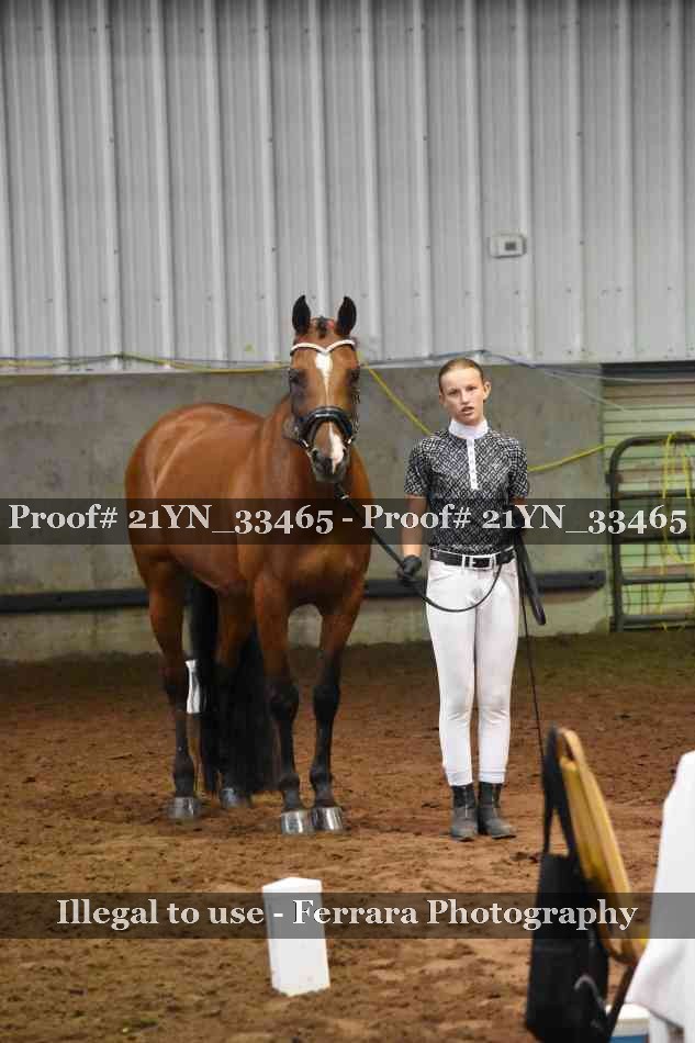 Proof 21YN_33465