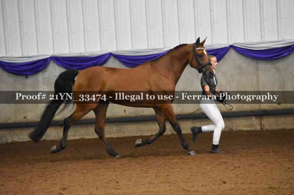 Proof 21YN_33474