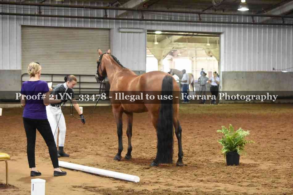 Proof 21YN_33478