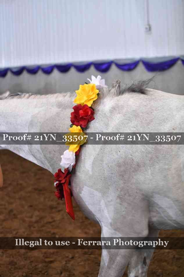 Proof 21YN_33507