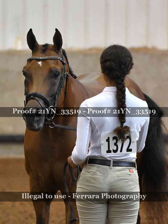 Proof 21YN_33519