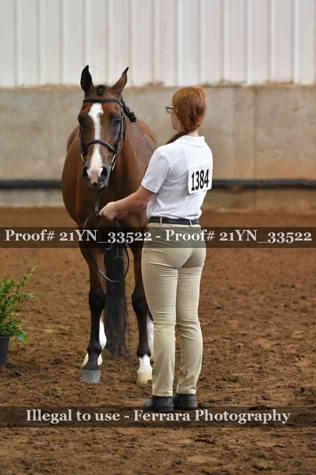 Proof 21YN_33522