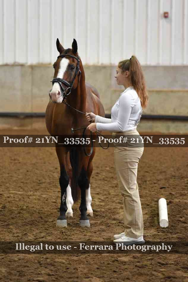 Proof 21YN_33535