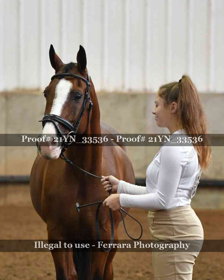 Proof 21YN_33536