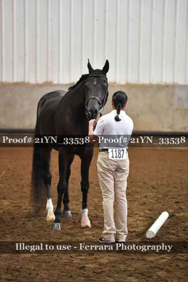 Proof 21YN_33538