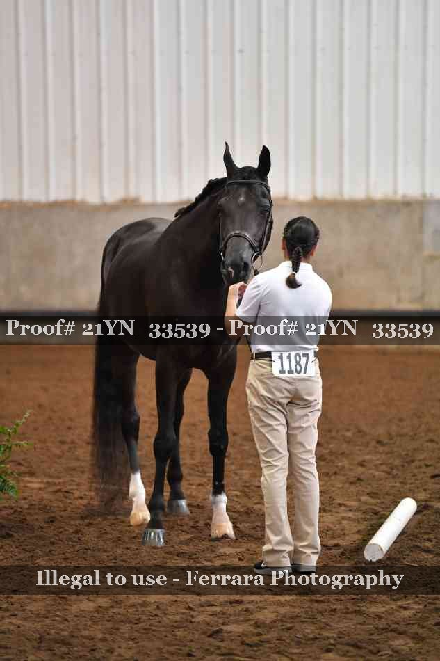 Proof 21YN_33539